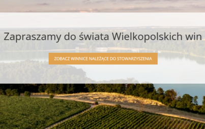 Zdjęcie do Szlak Wielkopolskich Winnic już otwarty