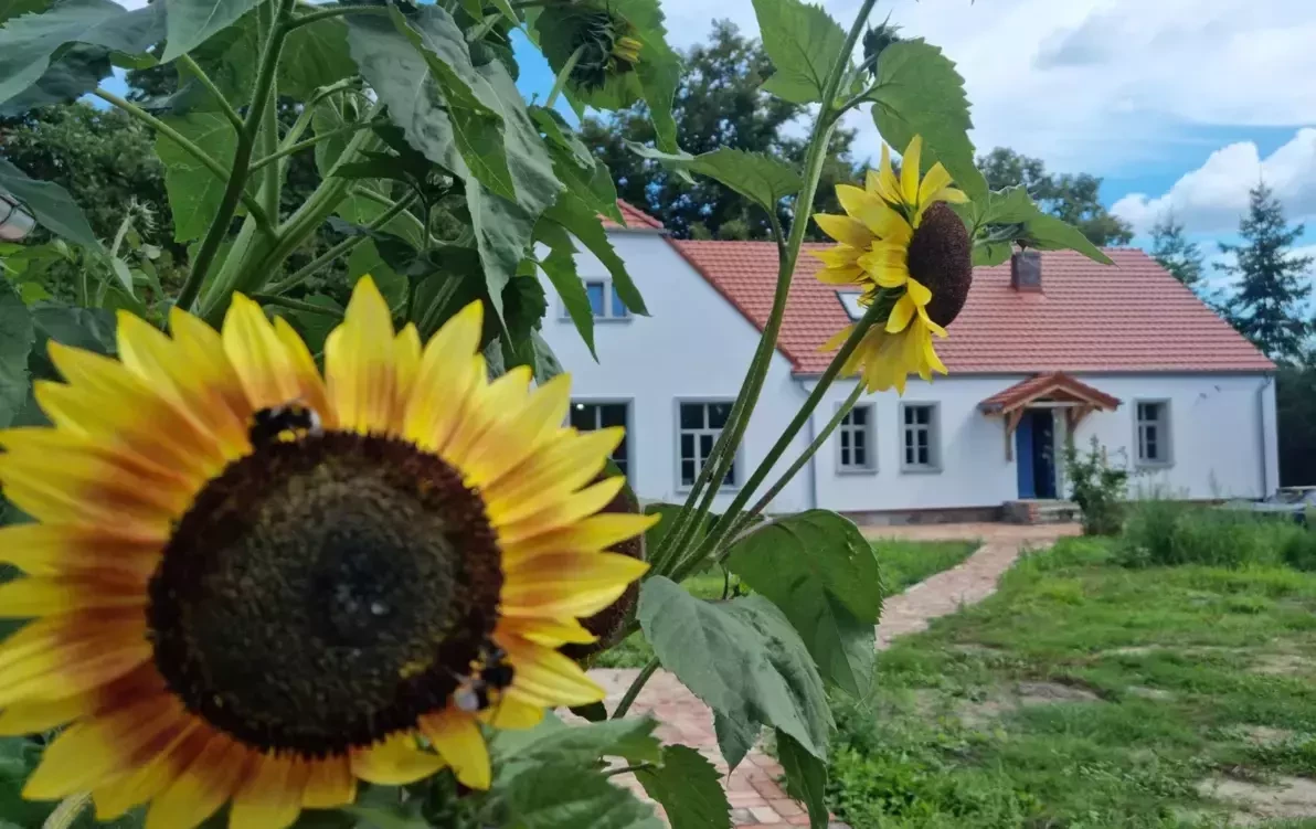 Zdjęcie do Winnica Stara Szkoła - atrakcja enoturystyczna