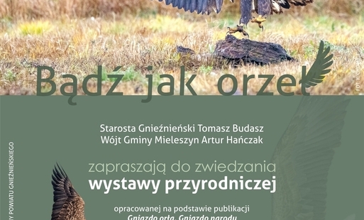Zdjęcie do Wystawa "Bądź jak orzeł" ląduje w Mieleszynie